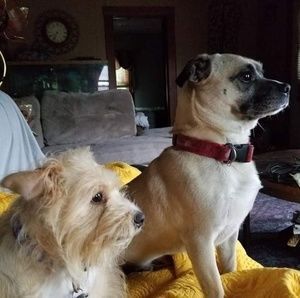 Meet your Posher, Camala